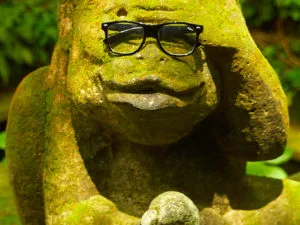 This Smart Monkey In Ubud