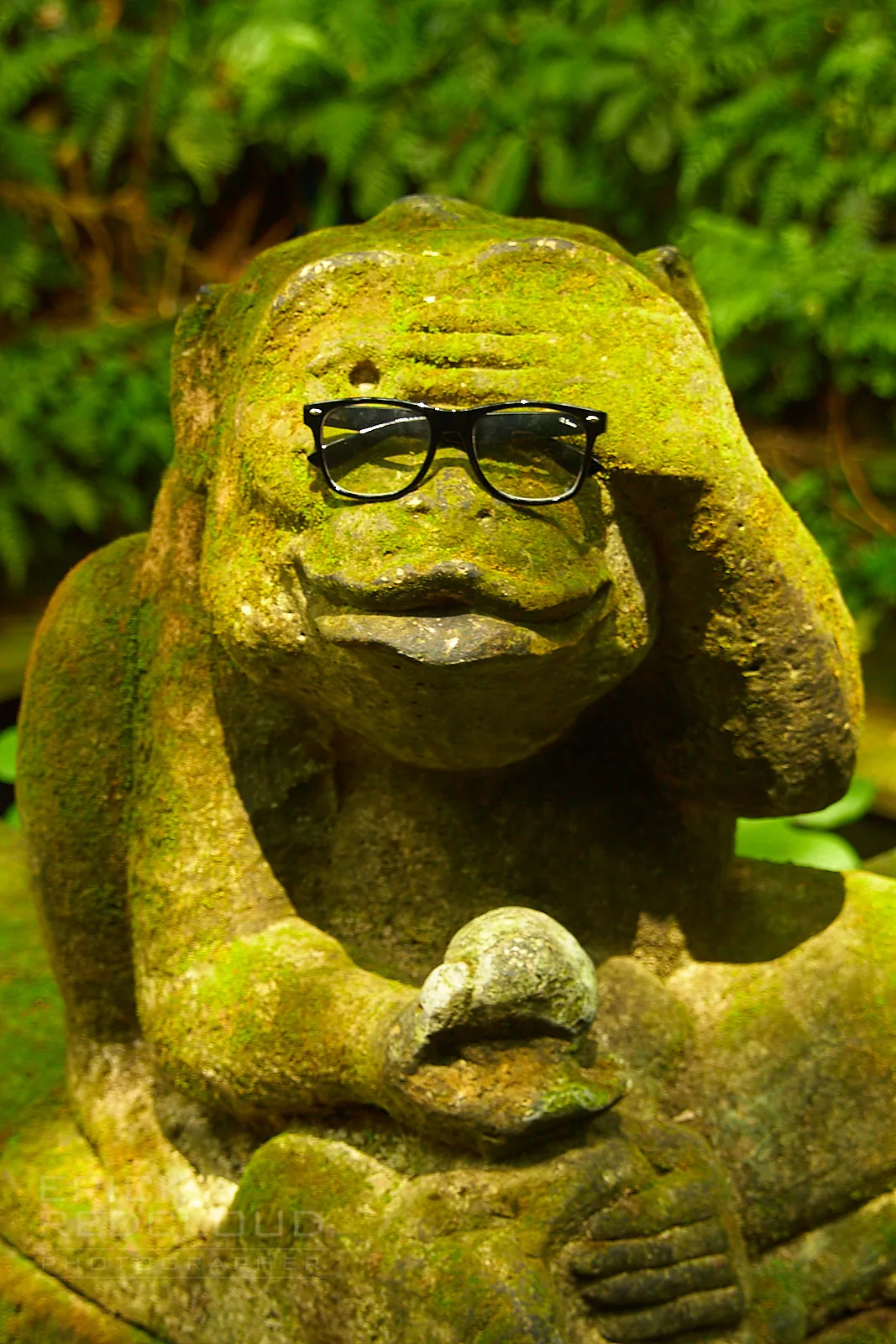 This Smart Monkey In Ubud